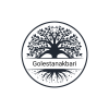 SGN_11_15_2024_1731673021669